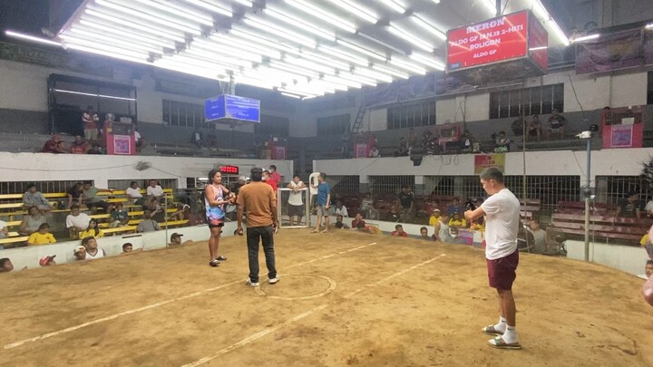 Magtito Gamefarm Pumpkin sweater, 2Stag Derby Gentri. Draw..Tapon ang sabaw..