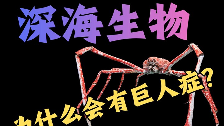 Mengapa semakin dalam kita menyelam ke laut, semakin mengerikan bentuk makhluk hidup yang kita temui