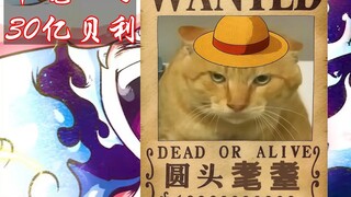 Let's take a look at the strongest centenarians of the Great Yawn era: "Fierce Attack by Centenarian