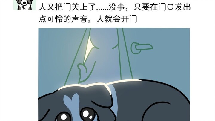 小狗的秘密朋友圈