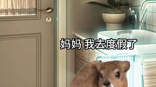 Diriku dalam pandanganku vs diriku dalam pandangan ibuku