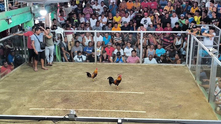 kahit putol na leeg tupoka parin nice one nok thank you patay rin sya