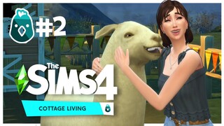 hosting a dinner party in attempt to fit in (cottage living #2) | The Sims 4