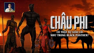 BLACK PANTHER KHIẾN CHÚNG TA HIỂU LẦM? CHÂU PHI CÓ THỰC SỰ PHÁT TRIỂN NHƯ TRÊN MÀN ẢNH? | DISCOVERY