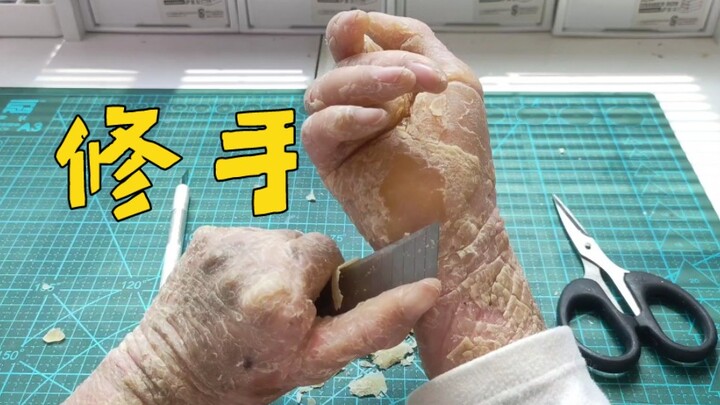 Record. Daily Hand Care/Painting