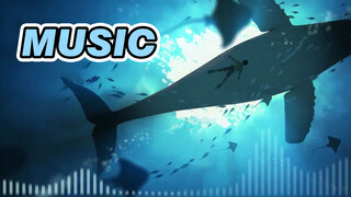[Music][Re-creation]Warming version of <Hai Di>