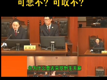 เก็บเทียนมาเพื่อรักษาแม่ ถูกตัดสินจำคุก 3 ปี 6 เดือน และปรับ 4,000 หยวน