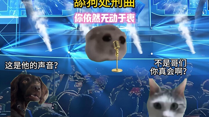 当你兄弟参加校园十大歌手演唱舔狗处刑曲