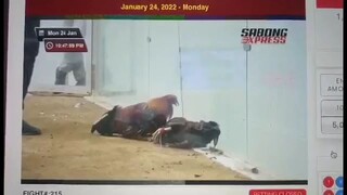 Machine kelso in action #1