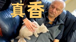 从害怕猫咪到每天真香，定律永不失手