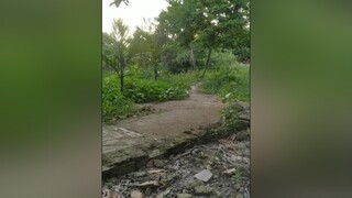 Sáng ra đã ham chơi. yeucho yeuchomeo cún cúncon chó chómèo chócon chó_cưng chókhôn yeuchomeo cưng chócute pet dog dogsoftiktok doggo