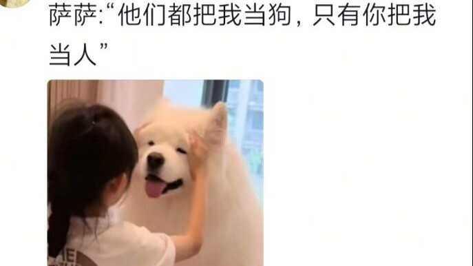 Chó: Việc to tát thế này mà giao cho tôi à?