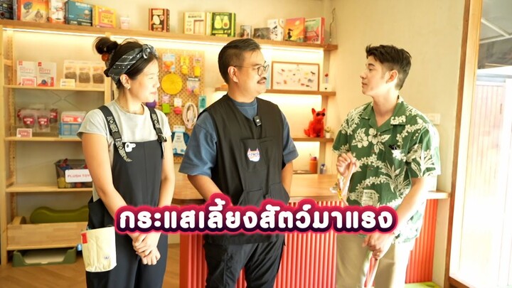 สานฝันมาริโอ้ เป็นพี่เลี้ยงฝึกน้องหมา | Job STAR กว่าจะเป็น... EP.1 | Ch3Thailand