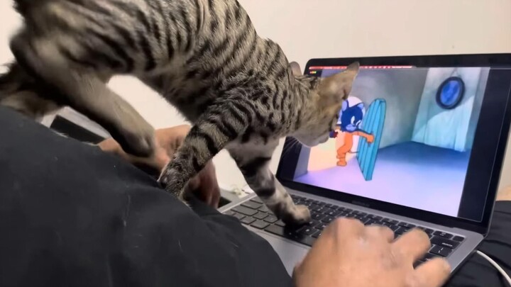 Sudah benar-benar nggak bisa lagi, aku harus turun langsung!