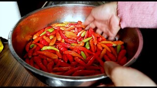 CARA MENYIMPAN CABE AGAR TAHAN LAMA