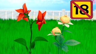 【原神】❤️甜甜花x风车菊的危险派对❤️