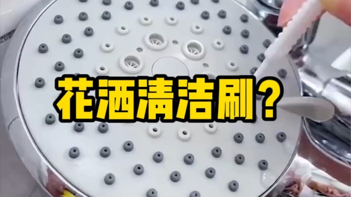 แปรงทำความสะอาดที่แพงกว่าฝักบัวบางรุ่น ควรซื้อไหม?