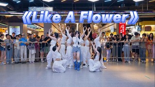 IRENE《Like A Flower》路演全体直拍｜大家都会幸福如花绽放