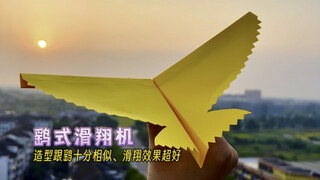 طائرة ورقية تطير لمسافة بعيدة، طائرة شاهين شديدة التحليق بتأثير انزلاقي ممتاز