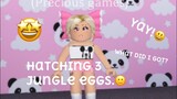 Hatching 3 jungle eggs! || roblox adopt me!