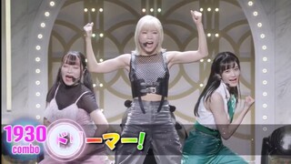 更适合拉拉人的帕梅拉！