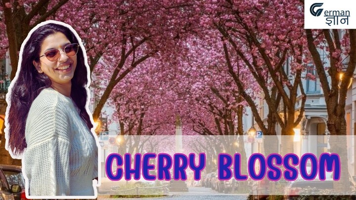 🌸Unlock the Beauty of Cherry Blossoms in German | @GermanGyan  by Nidhi Jain with English Subtitles🌸
