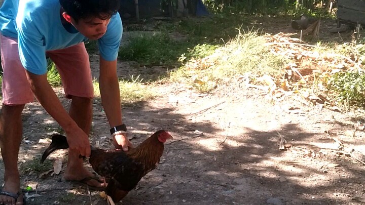 mataas mag break ang binabae#tiktok@v_mas official