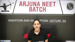 Digestion & absorption 2