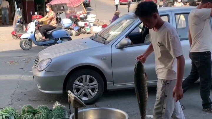 Seekor ikan mas seberat belasan kilogram, dipotong menjadi irisan untuk dimasak hot pot