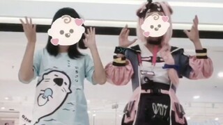 是猪猪