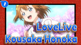 LoveLive
Kousaka Honoka_1