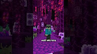 Aku bertemu White Enderman di the End