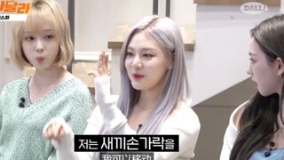 [ترجمة صينية] آيسبا في برنامج "شينتونغ"، نينغ نينغ تُظهر مهاراتها في الكونغ فو مع القطة + يو جي مين 