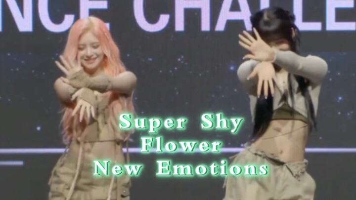 رقصة إيفرغلو العشوائية: سوبر شاي، فلور، نيو إيموشنز