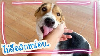 โลกของแสนดี ตอน โดนฟ้องว่าดื้อ