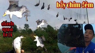 Bẫy Chim Đêm Được Dính Quá Nhiều Chim Quốc Le Le | Trần Thạch Vlogs