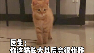 สงสัยจังว่ามันจะสง่างามได้ขนาดไหน ปรากฏว่า...ความสง่างามไม่เคยตกยุค!