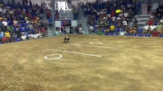 win