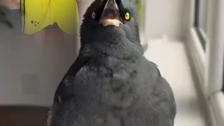 ক
