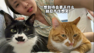 Begitu memikirkan apa yang akan dilakukan, aku tak bisa menahan tawa