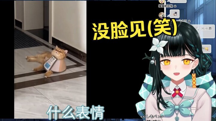 日本小软糯看社死，不止一点！