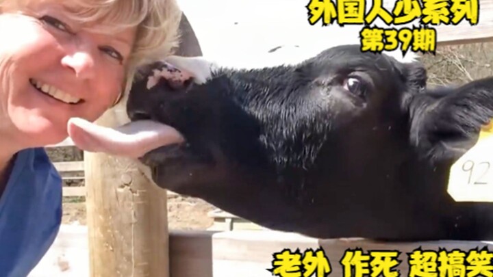 搞笑视频：倒霉老外作死失败集锦，全是名场面，喝水勿看哦！