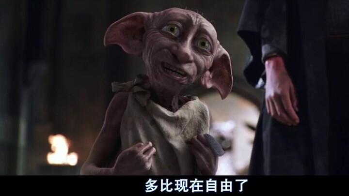 【HP】多比丨一个自由的小精灵丨多比全剧情版