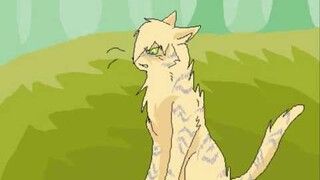 Tigerclaw is not one of thunderclan