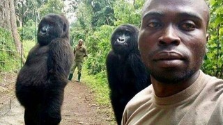 [Animals] Can you take a picture of me with a beauty camera?