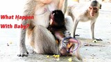 Oh God Rescue Baby! Baby Monkey Is Too Young Why Mother Does Crazy With Her?