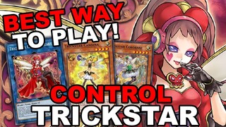NEW TRICKSTAR CONTROL! 9-1 (90% WIN RATE!) CRIMSON HEART BEST WAY TO PLAY! (Yu-Gi-Oh! Duel Links)