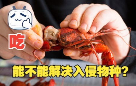 Apakah masalah spesies invasif bisa diselesaikan hanya dengan "makan"?