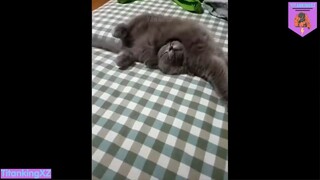 nhìn gì lạ lắm à