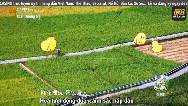 Tập 5